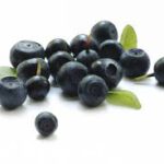 THE ACAI BERRY