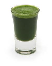 wheatgrass