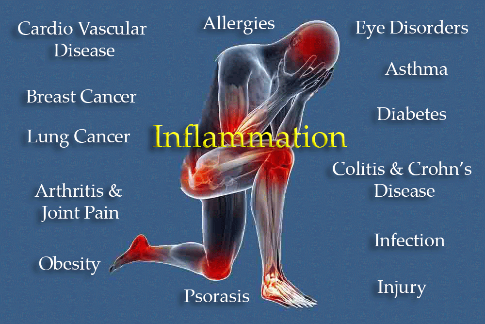 What is Inflammation in our Bodies, how can it affect us?  Holistic