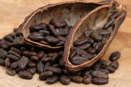 Loving Earth Raw Organic Cacao Nibs