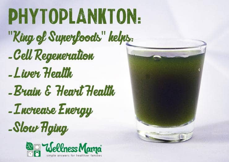 Phytoplankton beneftis for cell health liver health brain and heart health energy and more